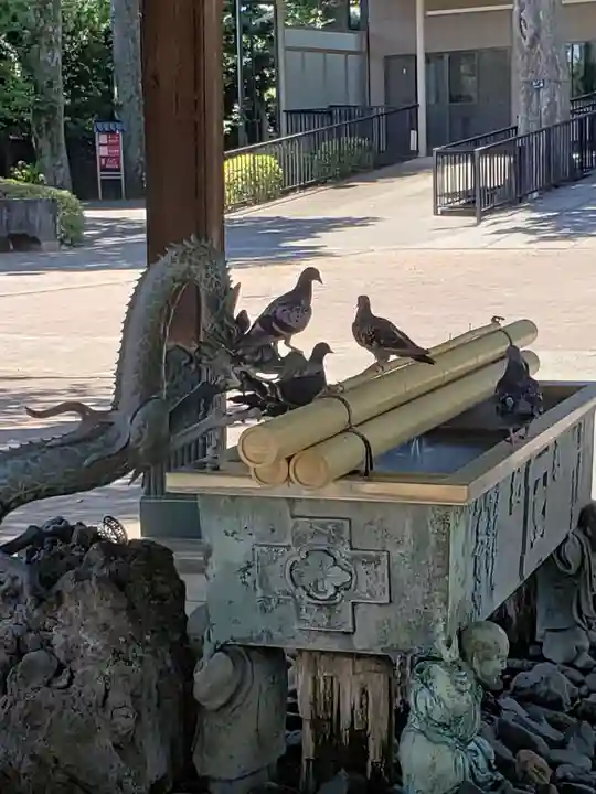 妙法寺(東京都)