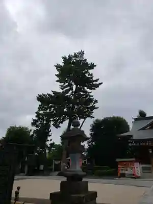 中野沼袋氷川神社のその他建物