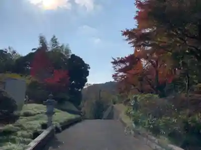 玉泉寺のその他建物