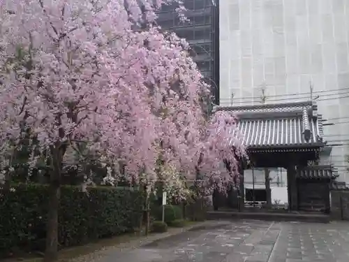 吉祥寺の自然