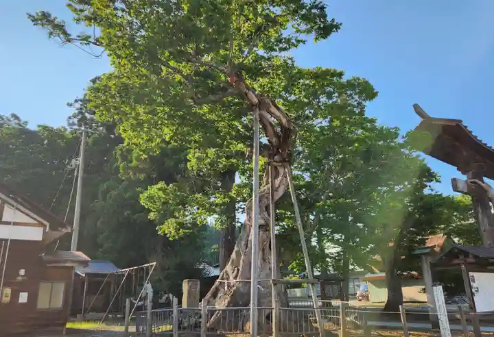 新宮熊野神社(福島県)