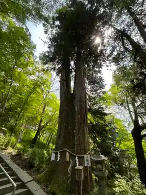 談山神社(奈良県)