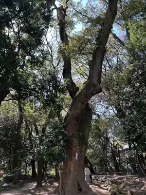 生田神社(兵庫県)