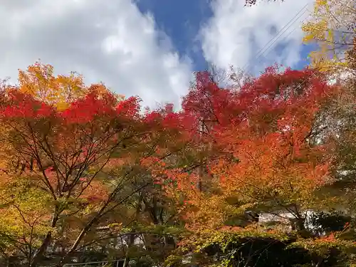 大洞院(静岡県)