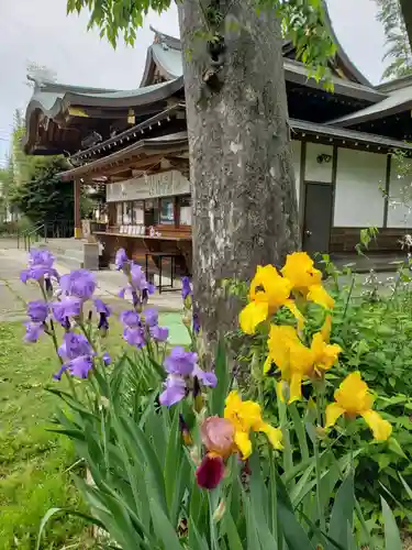鷺宮八幡神社の自然