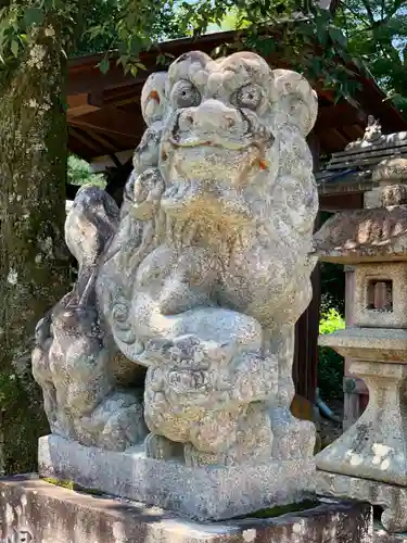 建藤神社の狛犬