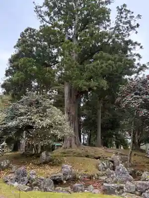 興聖寺(滋賀県)