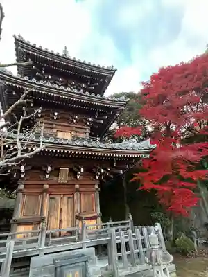 勝行院(法海寺)の塔