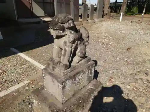 塚崎香取神社の狛犬