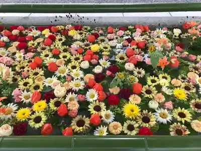 住吉神社の手水舎