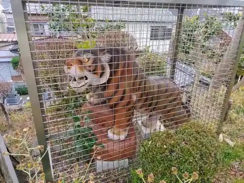 観音寺の狛犬