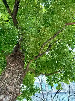 御霊神社(大阪府)