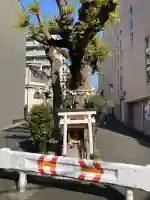 白光大神 の{uncategorized: "未分類", other: "その他", undefined: "問題あり", building: "その他建物", grave: "お墓", sacred_gate: "鳥居", guardian: "狛犬", statue: "像", buddha: "仏像", history: "歴史", nature: "自然", garden: "庭園", animal: "動物", pagoda: "塔", temizu: "手水舎", mountain_gate: "山門・神門", sanctuary: "本殿・本堂", subordinate: "末社・摂社", art: "芸術", scenery: "景色", jizo: "地蔵", ema: "絵馬", goshuin: "御朱印", omikuji: "おみくじ", items: "授与品その他", amulet: "お守り", goshuincho: "御朱印帳", eats: "食事", festival: "お祭り", votive_dance: "神楽", shichigosan: "七五三参", wedding: "結婚式", experience: "体験その他", initially: "初詣", around: "周辺", anti_infection: "感染症対策"}