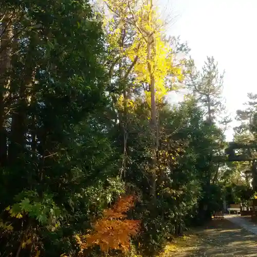 篠崎浅間神社のその他建物