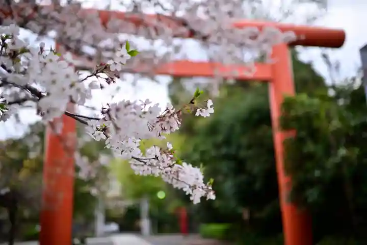 稲毛神社の自然