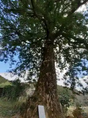 橋本院の{uncategorized: "未分類", other: "その他", undefined: "問題あり", building: "その他建物", grave: "お墓", sacred_gate: "鳥居", guardian: "狛犬", statue: "像", buddha: "仏像", history: "歴史", nature: "自然", garden: "庭園", animal: "動物", pagoda: "塔", temizu: "手水舎", mountain_gate: "山門・神門", sanctuary: "本殿・本堂", subordinate: "末社・摂社", art: "芸術", scenery: "景色", jizo: "地蔵", ema: "絵馬", goshuin: "御朱印", omikuji: "おみくじ", items: "授与品その他", amulet: "お守り", goshuincho: "御朱印帳", eats: "食事", festival: "お祭り", votive_dance: "神楽", shichigosan: "七五三参", wedding: "結婚式", experience: "体験その他", initially: "初詣", around: "周辺", anti_infection: "感染症対策"}
