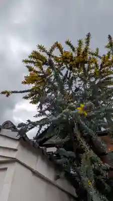 金光院(京都府)