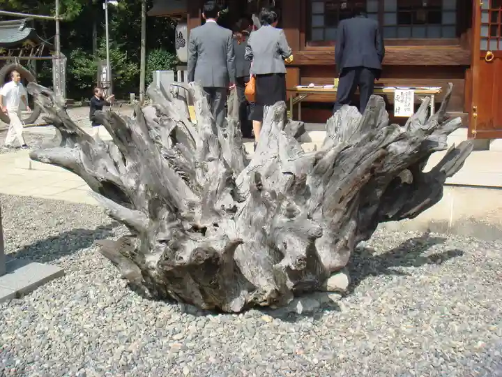 姉埼神社の自然