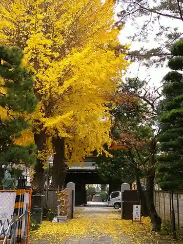 高安寺(東京都)