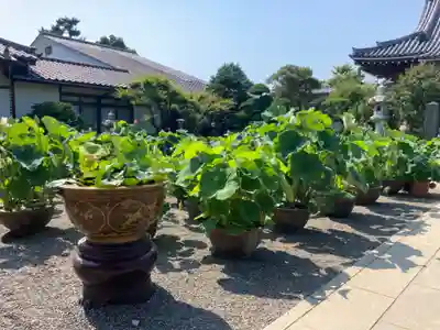 要法寺(神奈川県)