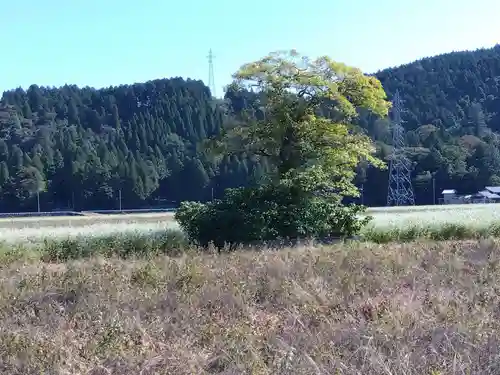 分神社(福井県)