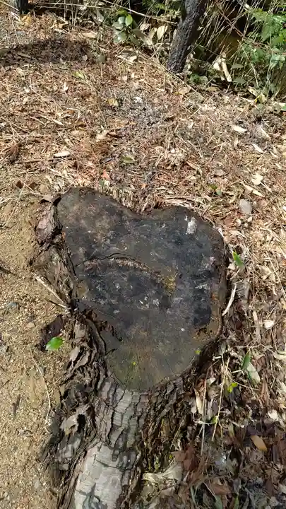 石鎚神社 口之宮 本社の自然