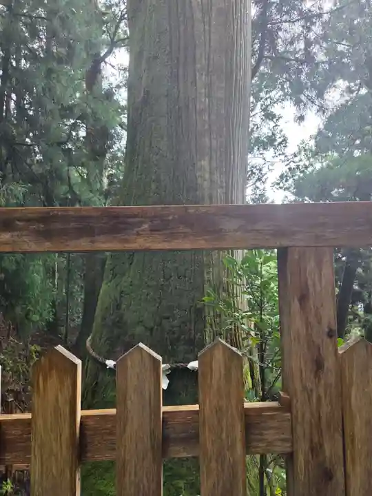 玉置神社の御朱印