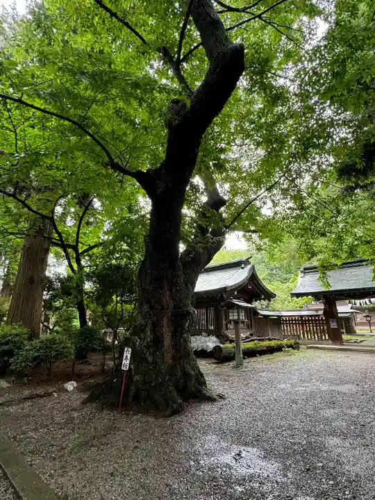 駒形神社(岩手県)