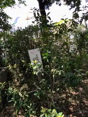 水神社(埼玉県)