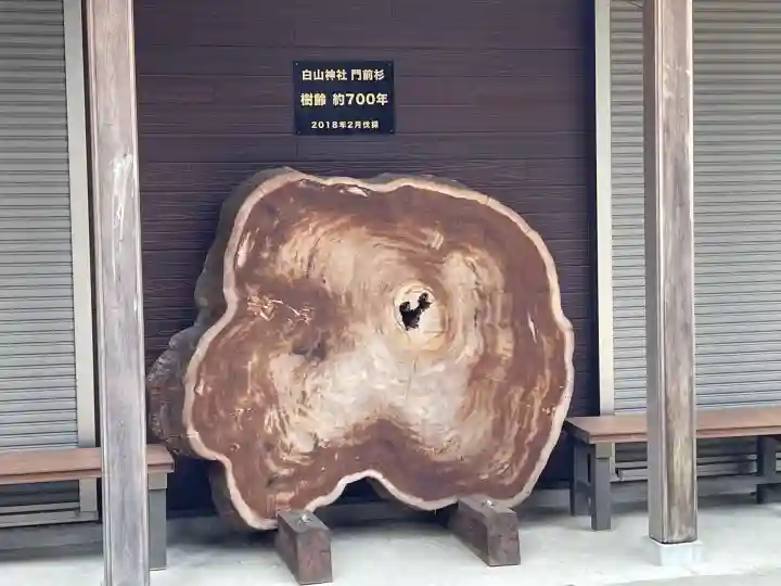 白山神社(奈良県)