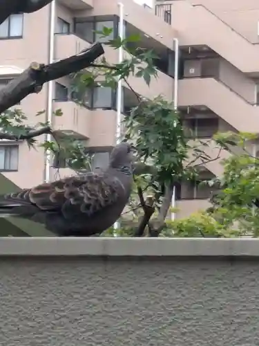 五方山熊野神社(東京都)