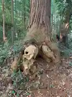 大六天神社(千葉県)