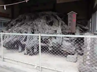 八坂神社のその他建物