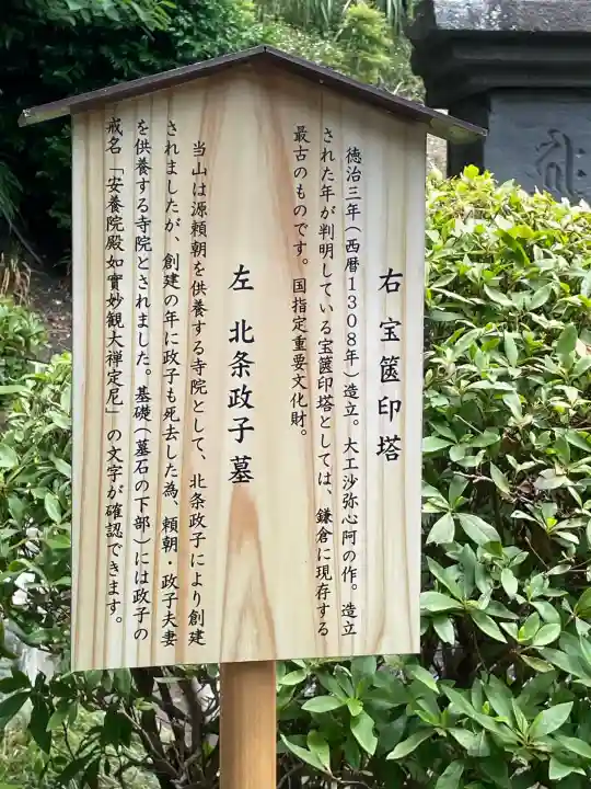 安養院 (田代寺)の{uncategorized: "未分類", other: "その他", undefined: "問題あり", building: "その他建物", grave: "お墓", sacred_gate: "鳥居", guardian: "狛犬", statue: "像", buddha: "仏像", history: "歴史", nature: "自然", garden: "庭園", animal: "動物", pagoda: "塔", temizu: "手水舎", mountain_gate: "山門・神門", sanctuary: "本殿・本堂", subordinate: "末社・摂社", art: "芸術", scenery: "景色", jizo: "地蔵", ema: "絵馬", goshuin: "御朱印", omikuji: "おみくじ", items: "授与品その他", amulet: "お守り", goshuincho: "御朱印帳", eats: "食事", festival: "お祭り", votive_dance: "神楽", shichigosan: "七五三参", wedding: "結婚式", experience: "体験その他", initially: "初詣", around: "周辺", anti_infection: "感染症対策"}