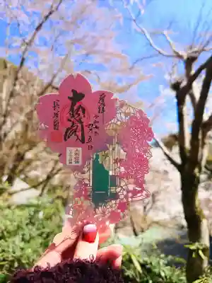 長谷寺の御朱印