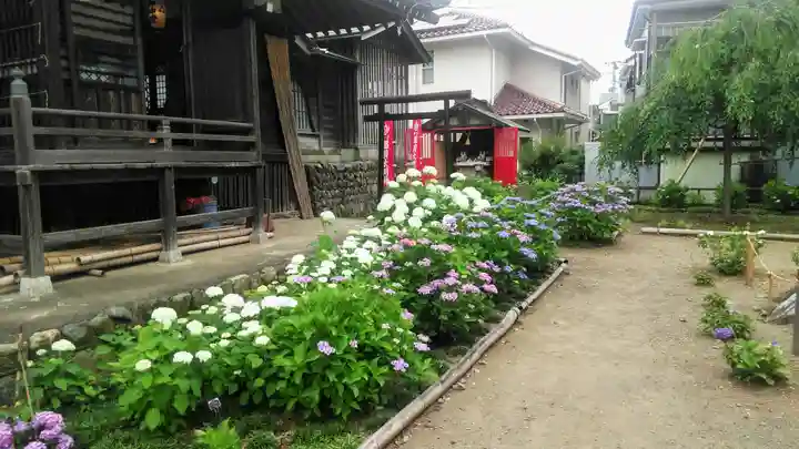 日吉八王子神社の自然