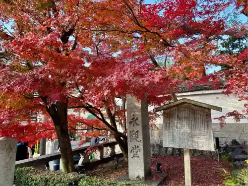 禅林寺（永観堂）(京都府)