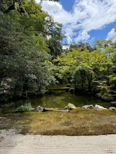 知恩院(京都府)