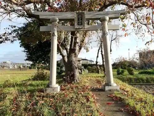 蛭子神社の鳥居