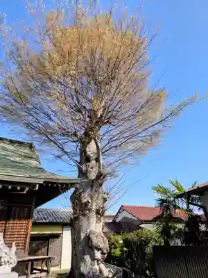 神明神社(東京都)