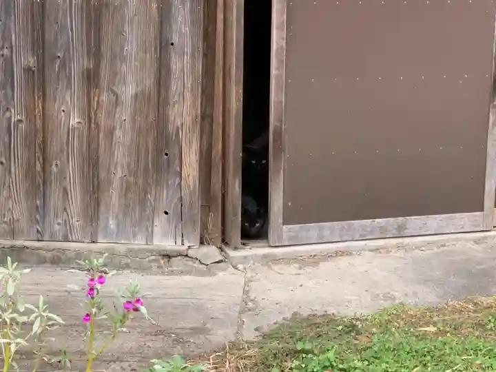 妙顕寺のその他建物