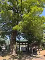 稲村神社(山梨県)