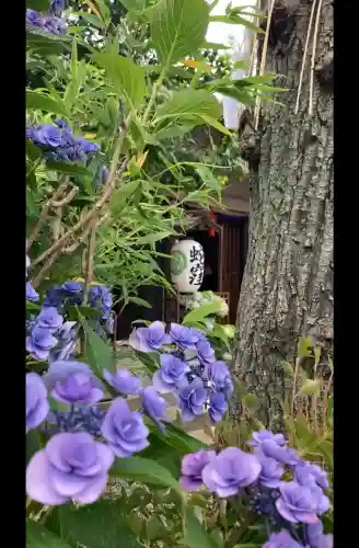 蛇窪神社(東京都)