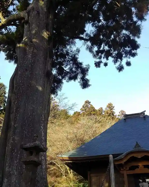 普門寺(切り絵御朱印発祥の寺)のその他建物