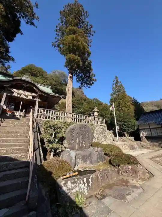 須我神社の{uncategorized: "未分類", other: "その他", undefined: "問題あり", building: "その他建物", grave: "お墓", sacred_gate: "鳥居", guardian: "狛犬", statue: "像", buddha: "仏像", history: "歴史", nature: "自然", garden: "庭園", animal: "動物", pagoda: "塔", temizu: "手水舎", mountain_gate: "山門・神門", sanctuary: "本殿・本堂", subordinate: "末社・摂社", art: "芸術", scenery: "景色", jizo: "地蔵", ema: "絵馬", goshuin: "御朱印", omikuji: "おみくじ", items: "授与品その他", amulet: "お守り", goshuincho: "御朱印帳", eats: "食事", festival: "お祭り", votive_dance: "神楽", shichigosan: "七五三参", wedding: "結婚式", experience: "体験その他", initially: "初詣", around: "周辺", anti_infection: "感染症対策"}