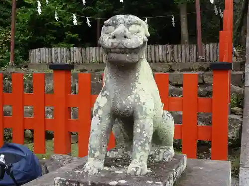 鶴岡八幡宮の狛犬