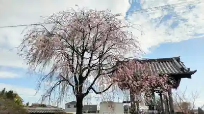 恩林寺(群馬県)