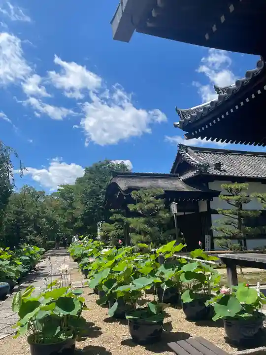 法金剛院(京都府)