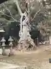 岡宮神社(長野県)