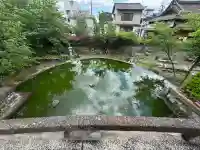誕生水弁財天の{uncategorized: "未分類", other: "その他", undefined: "問題あり", building: "その他建物", grave: "お墓", sacred_gate: "鳥居", guardian: "狛犬", statue: "像", buddha: "仏像", history: "歴史", nature: "自然", garden: "庭園", animal: "動物", pagoda: "塔", temizu: "手水舎", mountain_gate: "山門・神門", sanctuary: "本殿・本堂", subordinate: "末社・摂社", art: "芸術", scenery: "景色", jizo: "地蔵", ema: "絵馬", goshuin: "御朱印", omikuji: "おみくじ", items: "授与品その他", amulet: "お守り", goshuincho: "御朱印帳", eats: "食事", festival: "お祭り", votive_dance: "神楽", shichigosan: "七五三参", wedding: "結婚式", experience: "体験その他", initially: "初詣", around: "周辺", anti_infection: "感染症対策"}